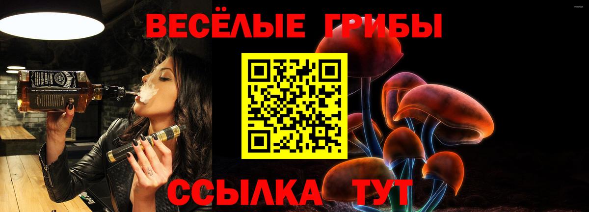 Псилоцибиновые грибы прущие грибы Махачкала