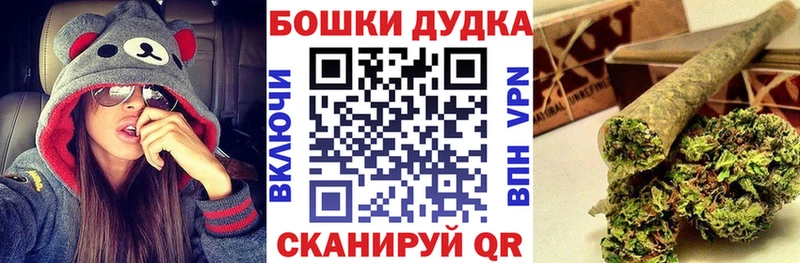 Конопля сатива Махачкала
